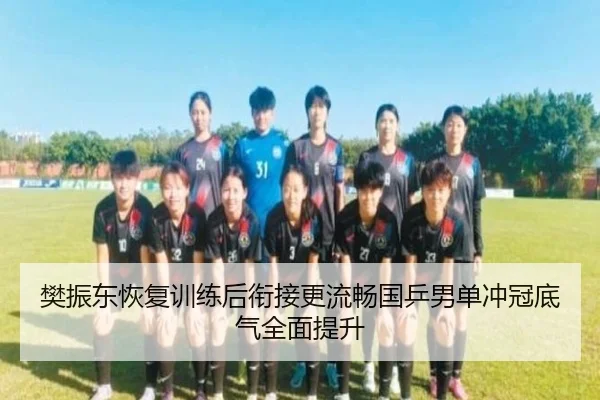 樊振东恢复训练后衔接更流畅国乒男单冲冠底气全面提升 | kaiyun